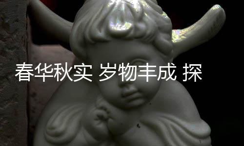 春华秋实 岁物丰成 探析中国冰雪竞技人材培育新形式