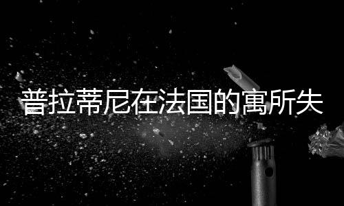普拉蒂尼在法国的居所失贼 其奖杯和奖牌被盗