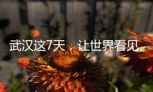 武汉这7天,让天下瞥见“恐惧金兰”