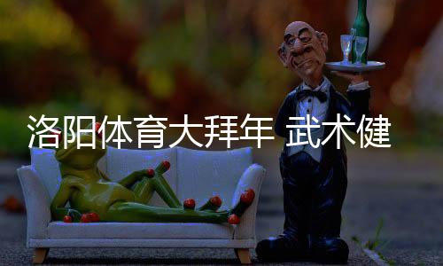 洛阳体育大拜年 技击健儿风度展