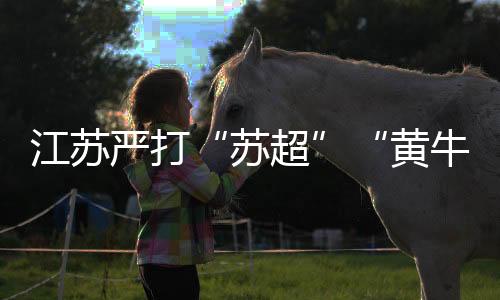 江苏严打“苏超”“黄牛”:第四轮赛事共抓获105人