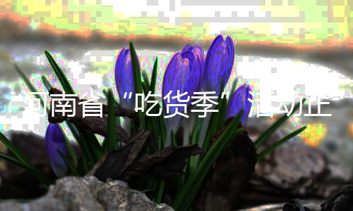 河南省“吃货季”勾当正式启动