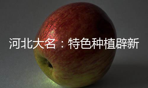 河北台甫：特点莳植辟新路 大棚鲜花助农增收