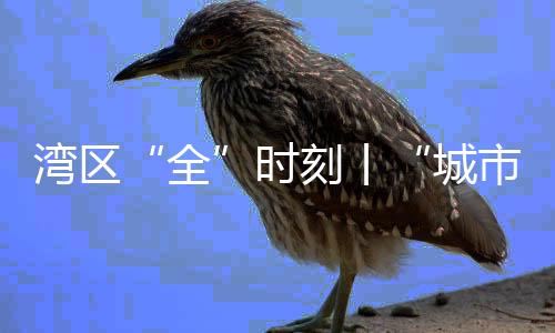 湾区“全”时辰丨“都会+活动” 当一项活动刻入都会影象……