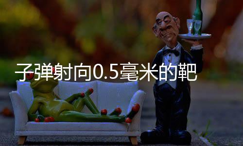 枪弹射向0.5毫米的靶心——巴黎奥运会名目清点之射击