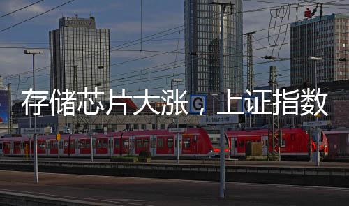 存储芯片大涨,上证指数“金针探底”,妙手怎样看?