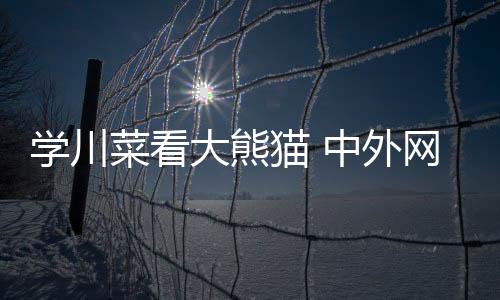 学川菜看大熊猫 中外网球活带动爱上成都安适慢糊口