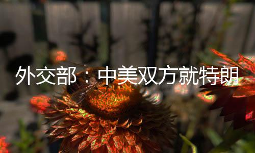 交际部：中美两边就特朗普总统访华事坚持着相同