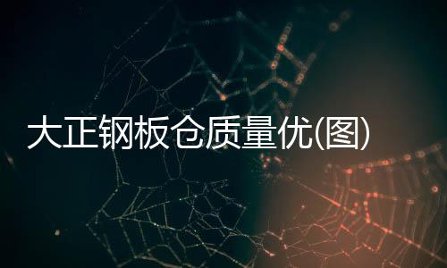 大正钢板仓品质优(图)