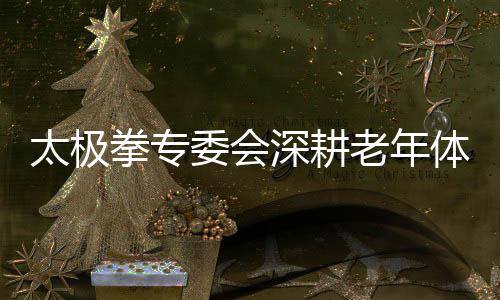 太极拳专委会深耕老年体育 太极魅力闪烁安康老龄路