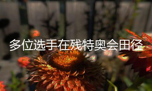 多位选手在残特奥会田径(马拉松)名目革新天下记载