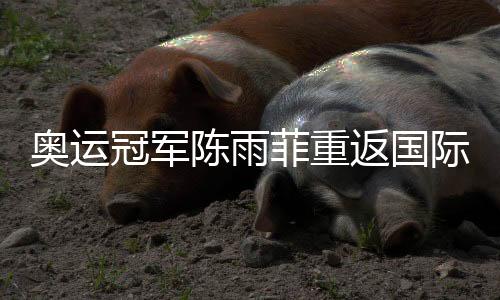 奥运冠军陈雨菲重返国际赛场:很高兴能从头为国而战
