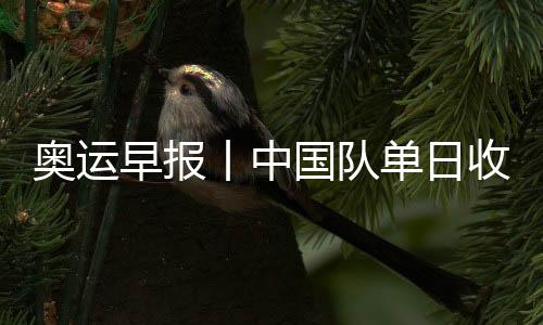 奥运早报丨中国队单日收1金1银1铜 14岁小将创汗青