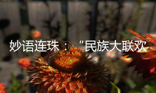趣话连珠：“民族大联欢就像大型的家庭文艺汇演”