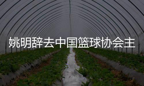 姚明辞去中国篮球协会主席职务 郭振明接任