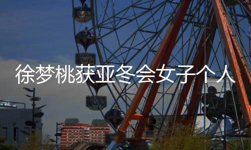 徐梦桃获亚冬会男子小我空中技能冠军:给本身打95分