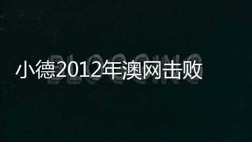 小德2012年澳网击败纳达尔所用球拍拍买价破记载