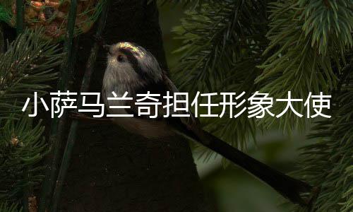 小萨马兰奇担负抽象大使 2025上海中间高塔竞速挑衅赛将于11月开赛