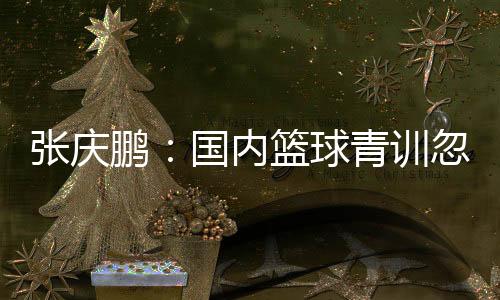张庆鹏:国际篮球青训疏忽了小我有球技能的利用