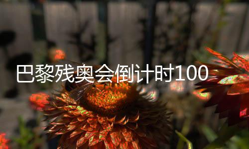 巴黎残奥会倒计时100天 我国已获19个大项参赛资历
