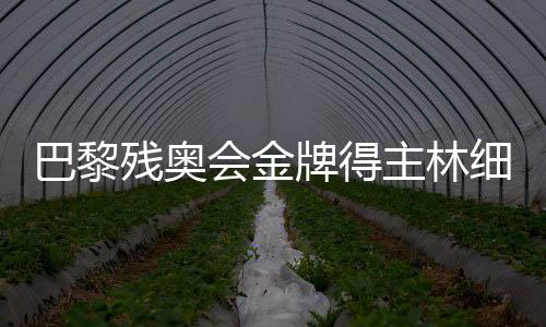 巴黎残奥会金牌得主林细妹、麦建朋谈夺冠感触 盼将来再创佳绩
