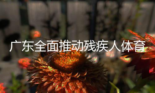 广东周全鞭策残疾人体育奇迹高品质成长 残疾人勾当佳绩不时