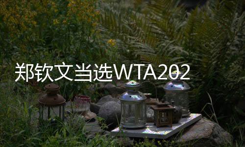 郑钦文被选WTA2025年度最受球迷接待单打球员