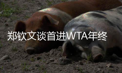 郑钦文谈首进WTA年关总决赛:先把身材与精力规复到最好状况