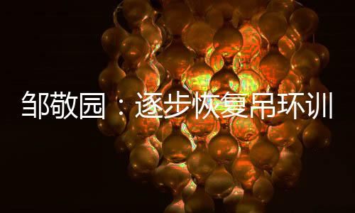邹敬园:慢慢规复吊环练习,等候世锦赛有好的表现
