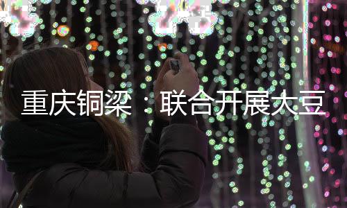 重庆铜梁:结合展开大豆玉米带状复合莳植手艺培训