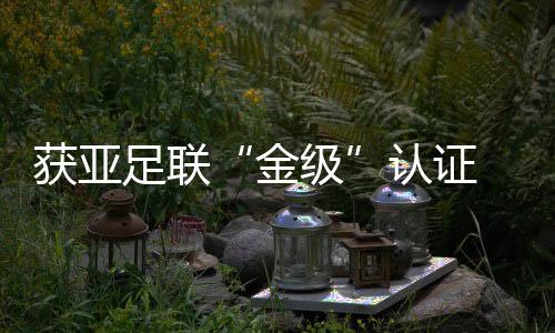 获亚足联“金级”认证 中国草根足球的惊喜与等候