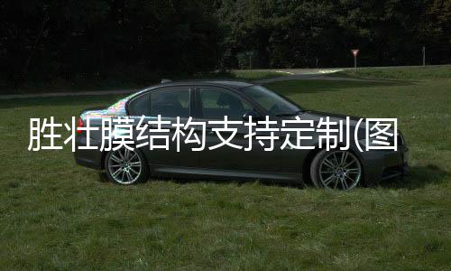 汉王***锁代办署理商,朔州***锁,龙城科密商贸(检查)