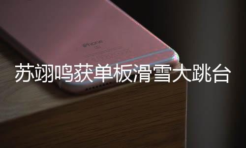 苏翊鸣获单板滑雪大跳台天下杯赛季总冠军