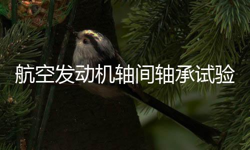 航空策念头轴间轴承实验机