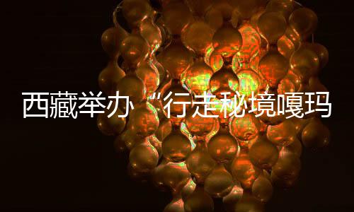 西藏举行“行走秘境嘎玛”珠峰东坡徒步之旅产物宣布会