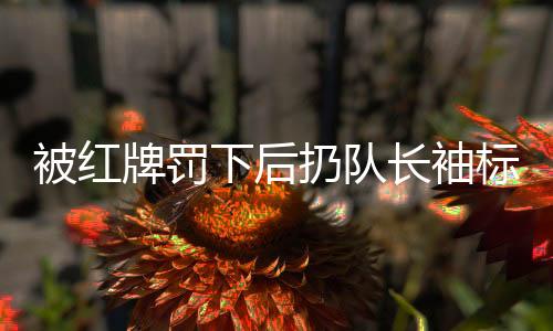 被红牌罚下后扔队长袖标激发争议,王大雷报歉