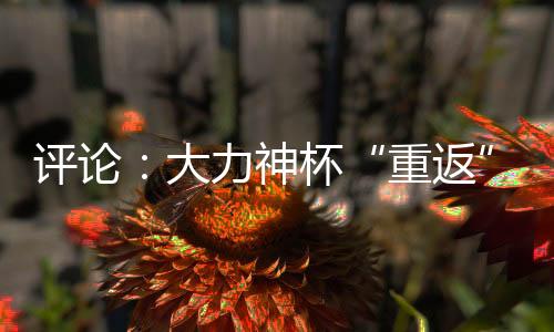 批评：鼎力神杯“重返”中国，中国男足什么时候重返天下杯？