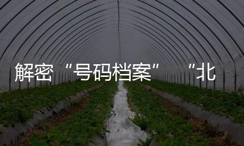 解密“号码档案” “北京篮球汗青文明季第二季”启动