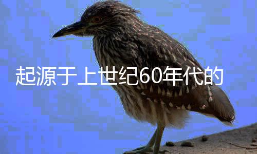 发源于上世纪60年月的掼蛋，变成年青人交际场“重头菜”