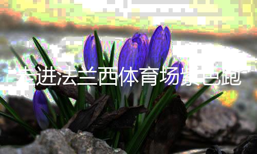 走进法兰西活动场紫色跑道,千分秒之差何故显现?