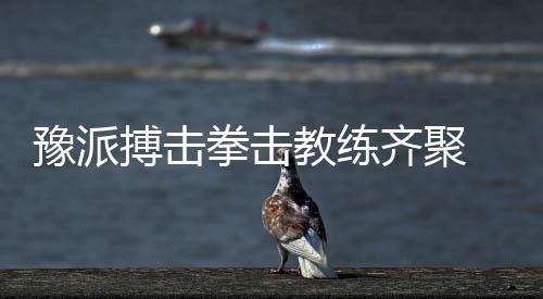 豫派搏击拳击锻练齐聚 行业大咖领航2026生长新标的目的