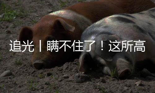 追光丨瞒不住了！这所高校的先生竟然会“一苇渡江”
