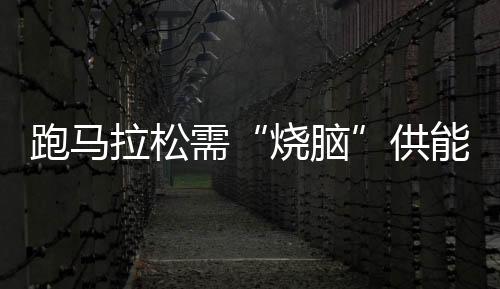赛马拉松需“烧脑”供能？国际最新研讨称大脑髓磷脂会产生可逆转变