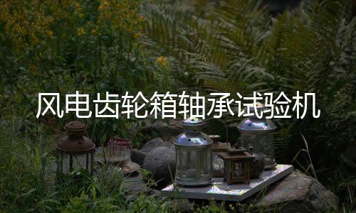 风电齿轮箱轴承实验机