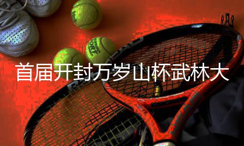 首届开封万岁山杯武林大会胜利举行会聚十省传统技击精英