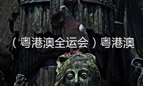 (粤港澳全运会)粤港澳齐心筑梦,六十六载全运绘中国体育新篇