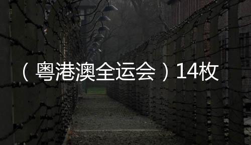 (粤港澳全运会)14枚金牌花落各家 全运会展中国跳水新风度
