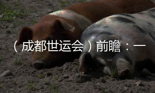 （成都世运会）前瞻：一场体育与科技“双向奔赴”的嘉会