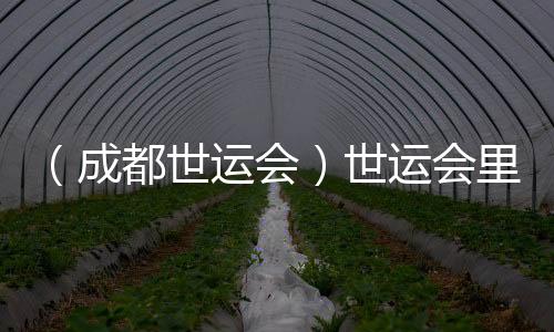 (成都世运会)世运会里的非遗之约:西方美学与天下温顺相遇