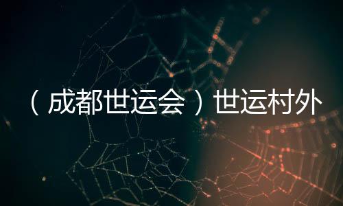 (成都世运会)世运村外的阛阓:让天下感知“四川情意”